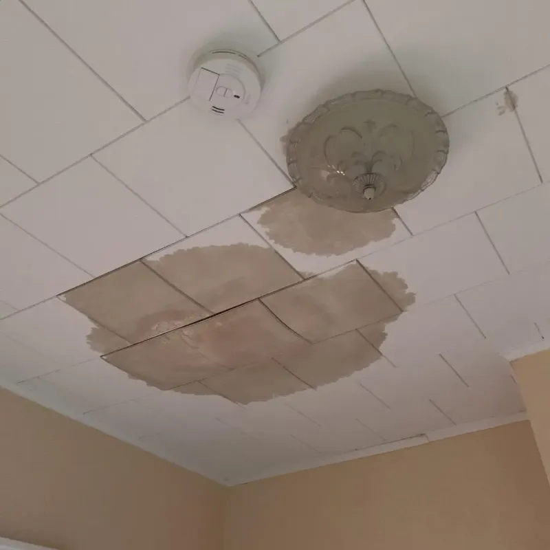 Ceiling Water Damage Repair in Sidney, ME