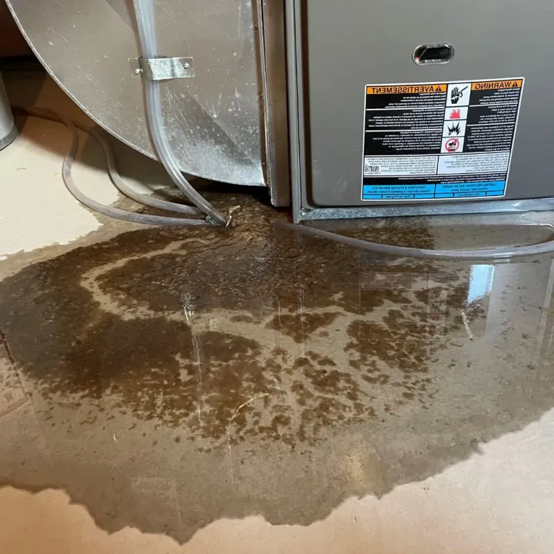 Pipe Burst and Leak Restoration in Sidney, ME