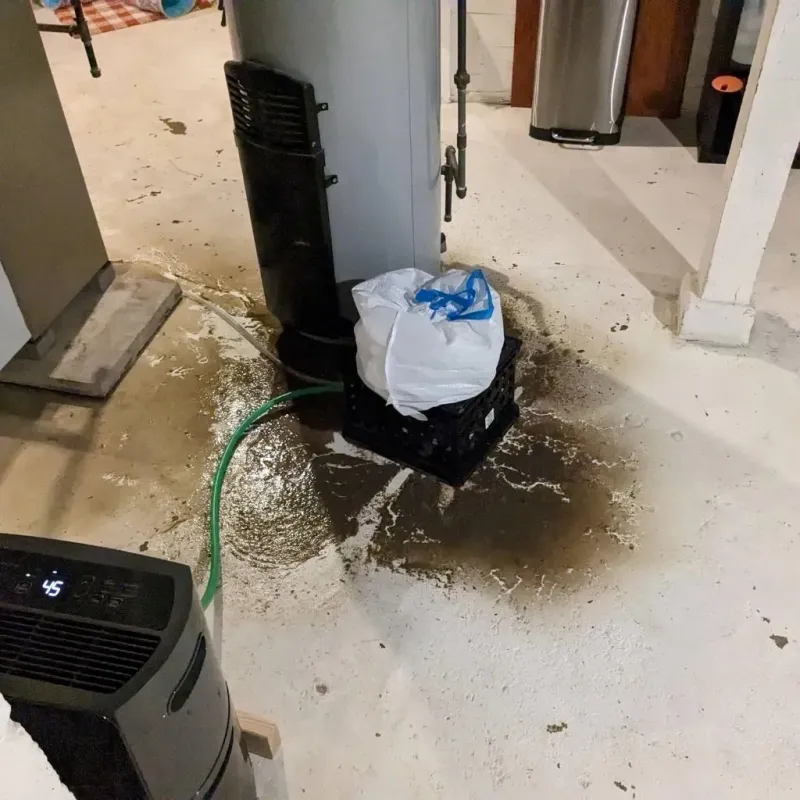 Sewage Backup Cleanup Service in Sidney, ME